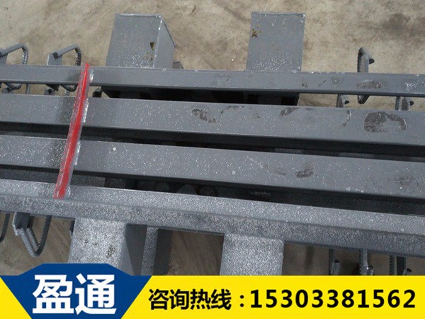 模數(shù)式橋梁伸縮縫-MZL-240