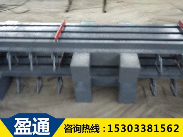 模數(shù)式橋梁伸縮縫-MZL-240 2.jpg