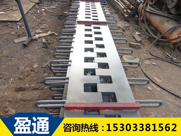 SSF橋梁伸縮縫? SSF橋梁伸縮縫?