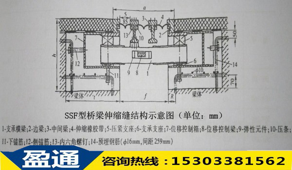 SSF型橋梁伸縮縫結(jié)構(gòu)示意圖 SSF型橋梁伸縮縫結(jié)構(gòu)示意圖