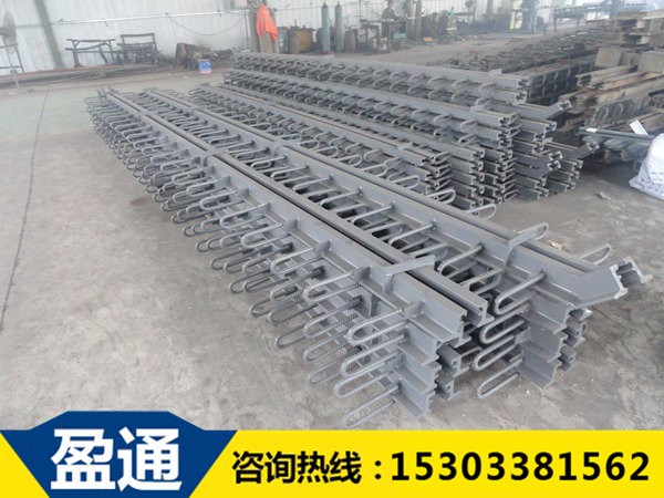 E型橋面伸縮縫 E型橋面伸縮縫