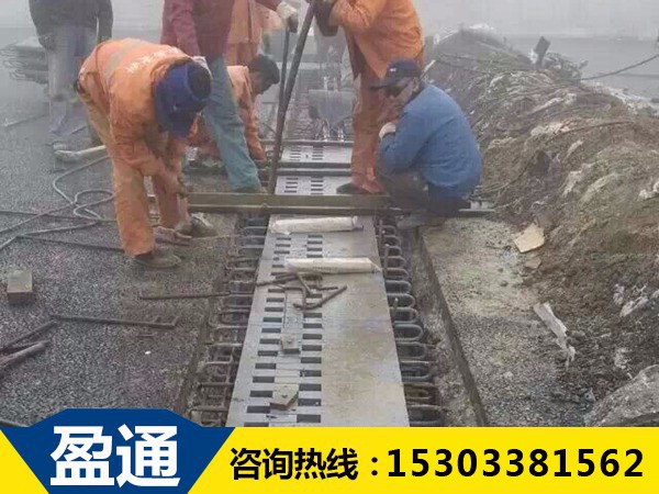 梳齒板型橋梁伸縮縫 梳齒板型橋梁伸縮縫