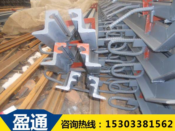 橋梁伸縮縫 橋梁伸縮縫