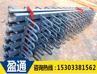 橋梁伸縮縫 橋梁伸縮縫