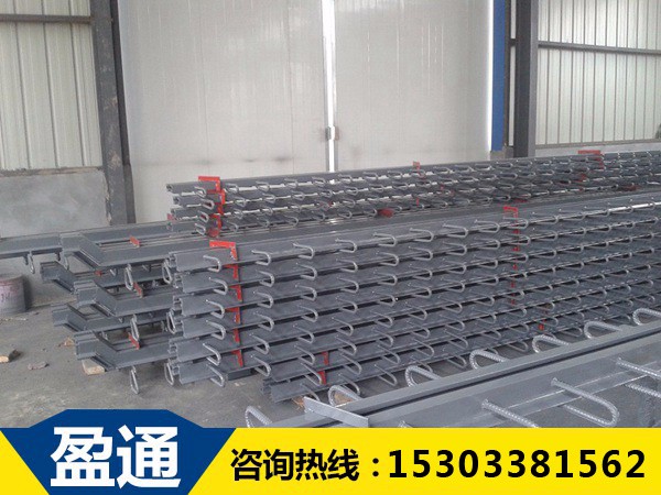 GQF-D80型橋梁伸縮縫.jpg GQF-D80型橋梁伸縮縫.jpg